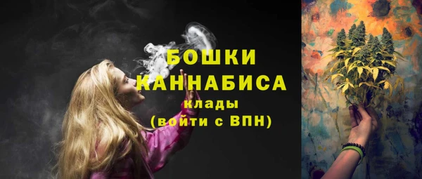 хмурый Михайловск