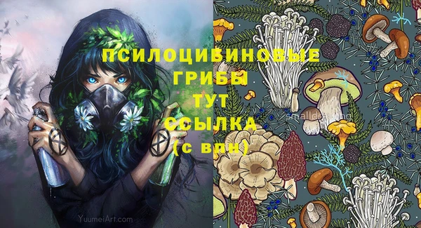 spice Михайлов