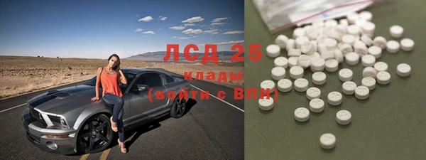 хмурый Михайловск