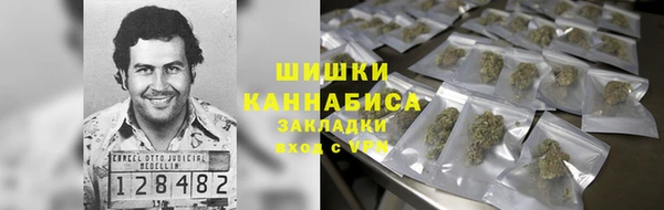 хмурый Михайловск