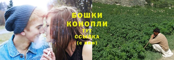 хмурый Михайловск