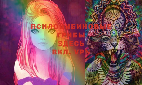 мяу мяу мука Михайловка