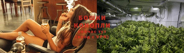 хмурый Михайловск