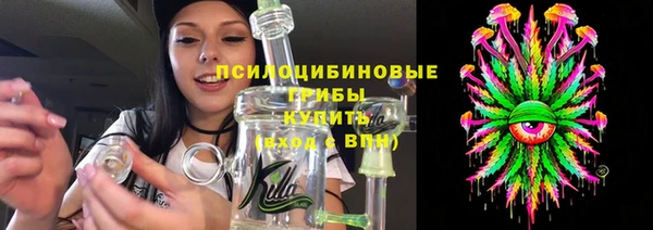 хмурый Михайловск