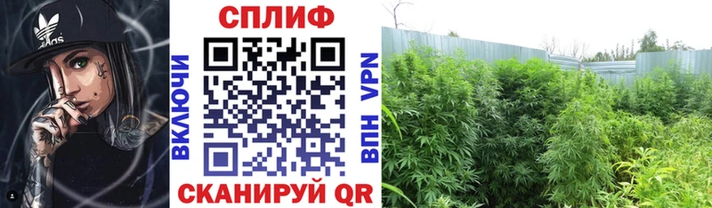 Марихуана Bruce Banner  kraken ссылки  Берёзовка 